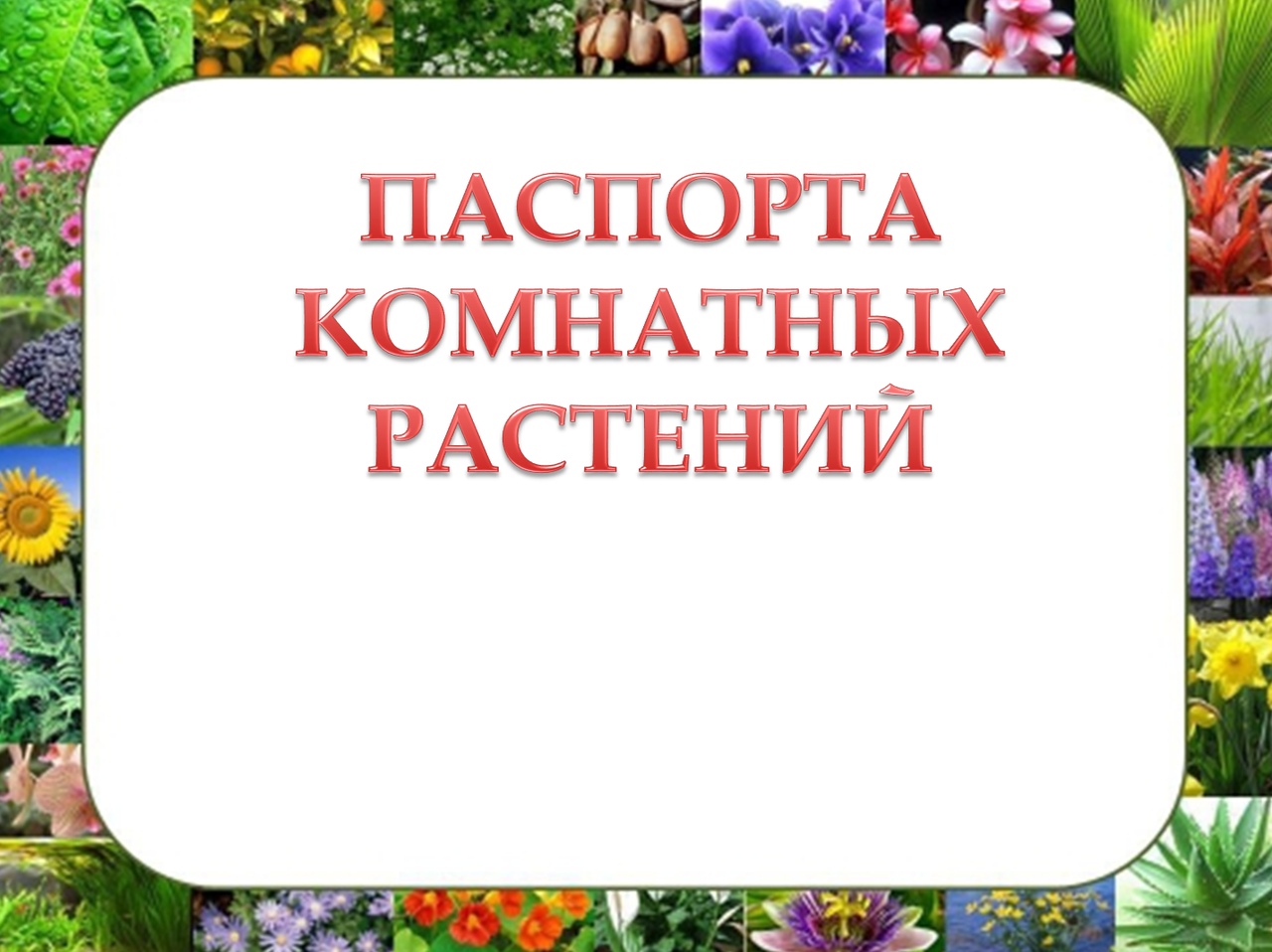 Паспорт растения 6 класс по биологии образец