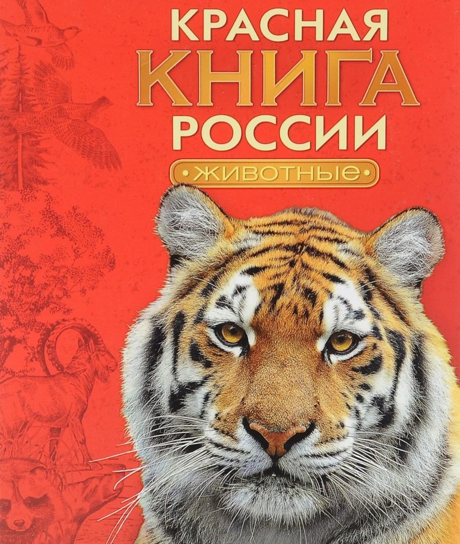 Фото красной книги россии фото и описание для детей